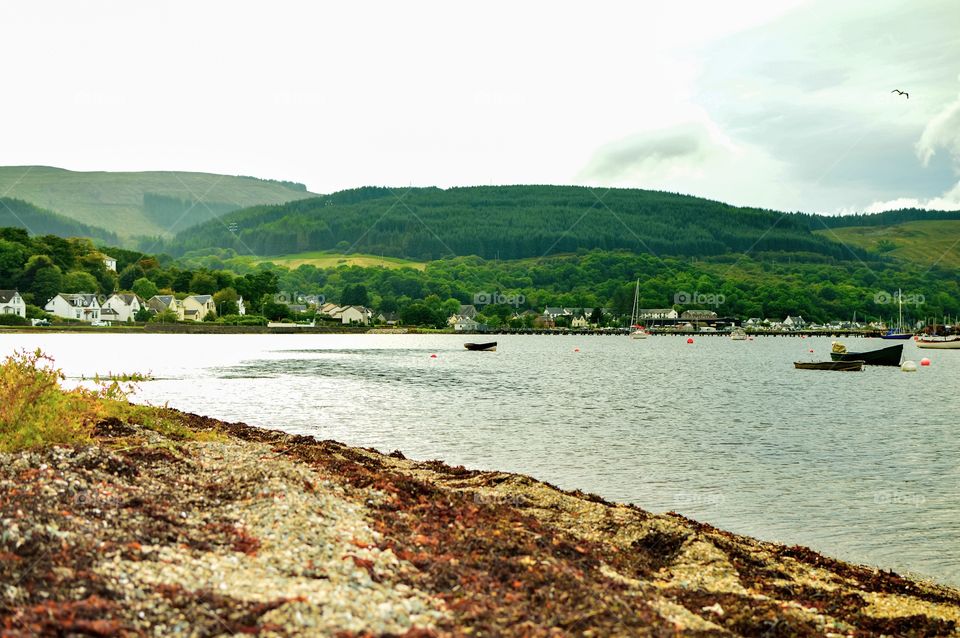 Scenic view of nature