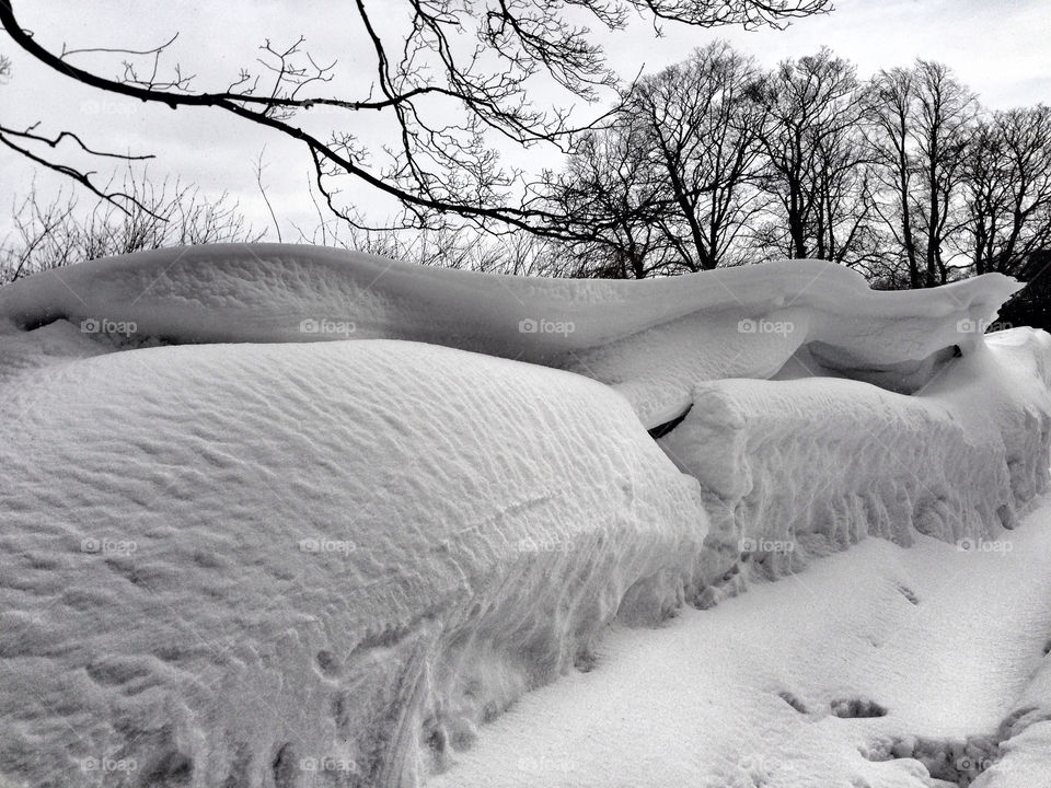 Snow Drift