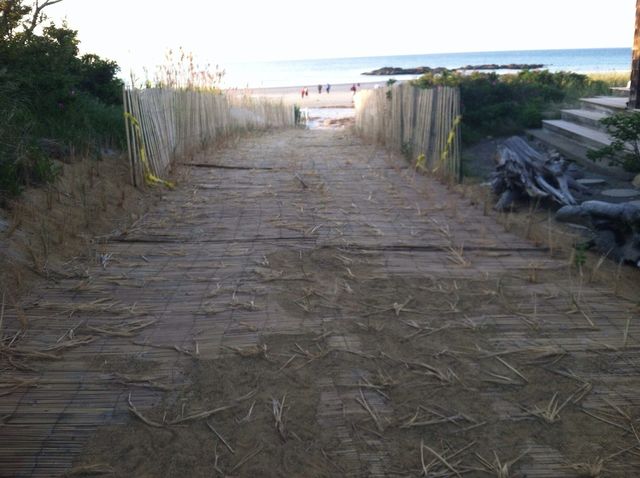 Beach path 