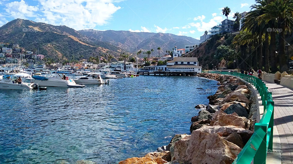 Catalina Island