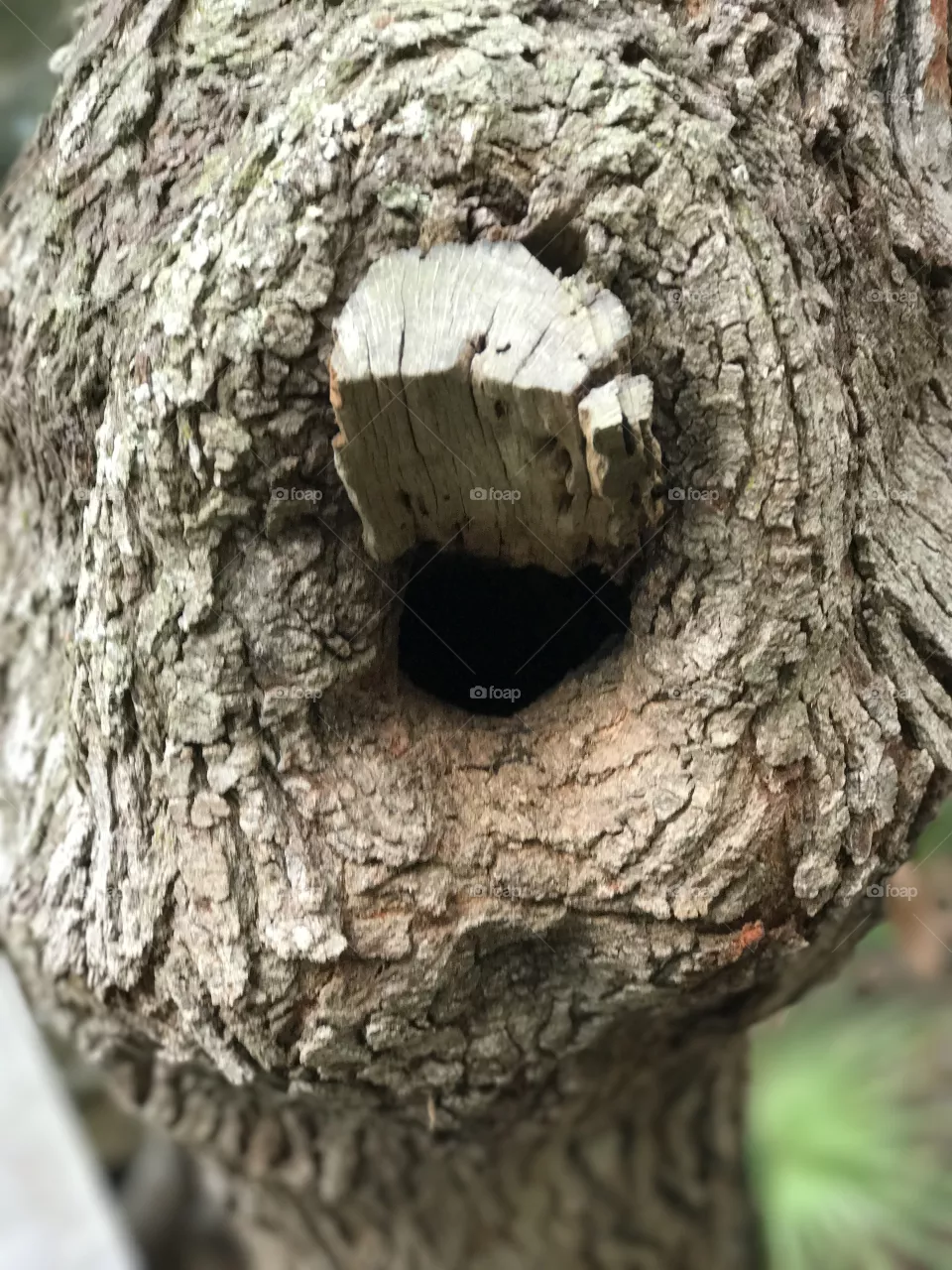 Knotty