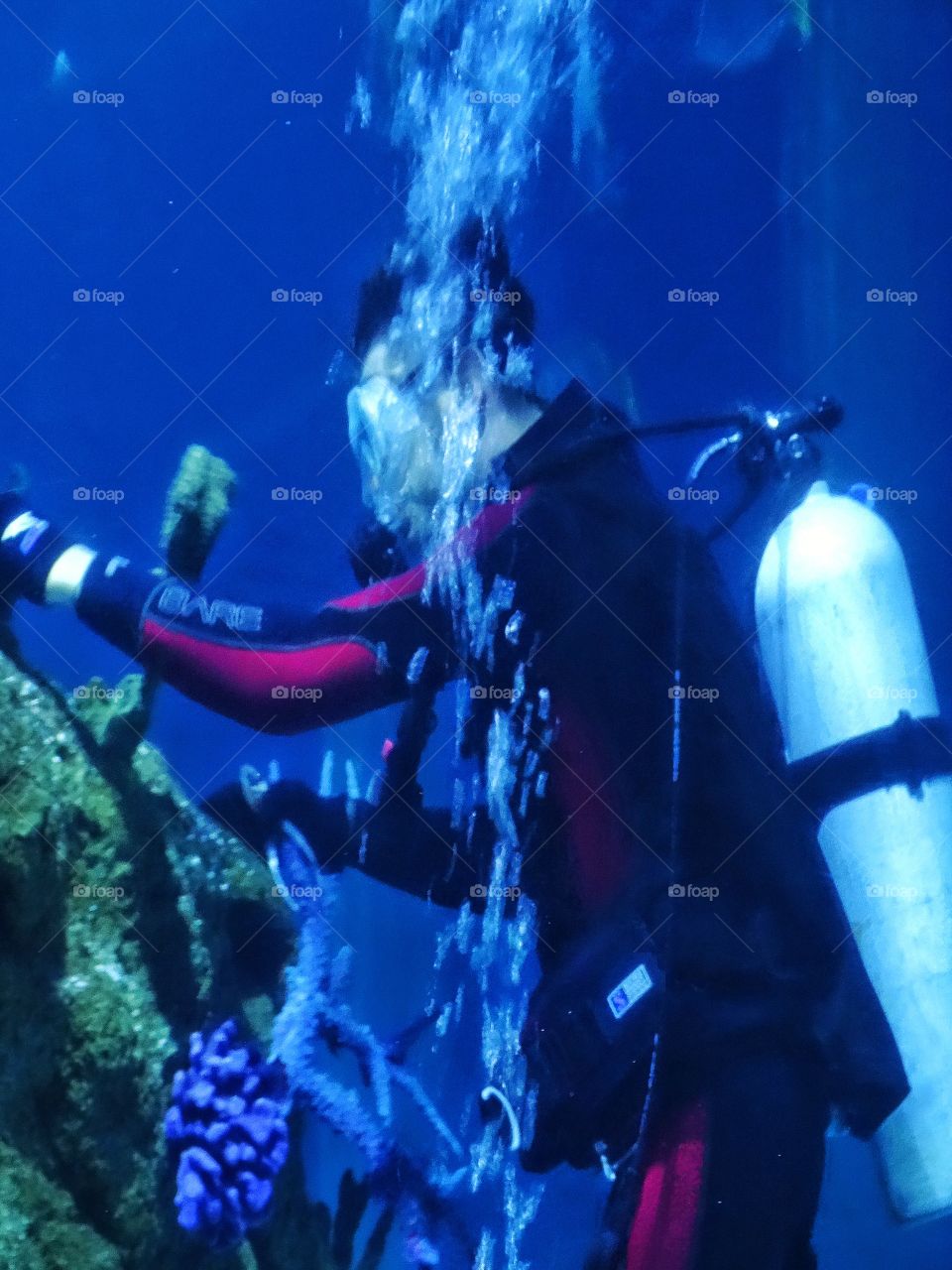 Scuba Diving. Underwater Archeologist Exploring An Ancient Shipwreck
