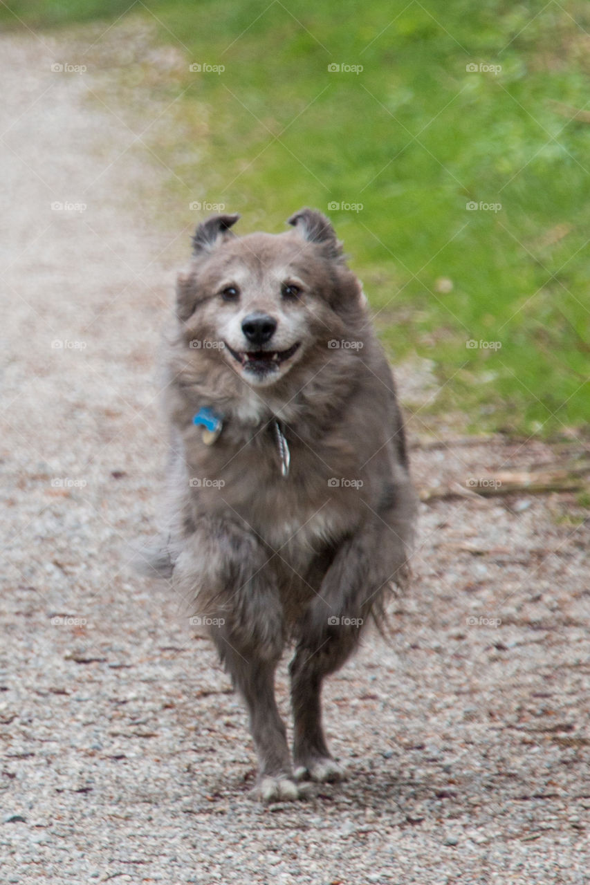 Running girl 