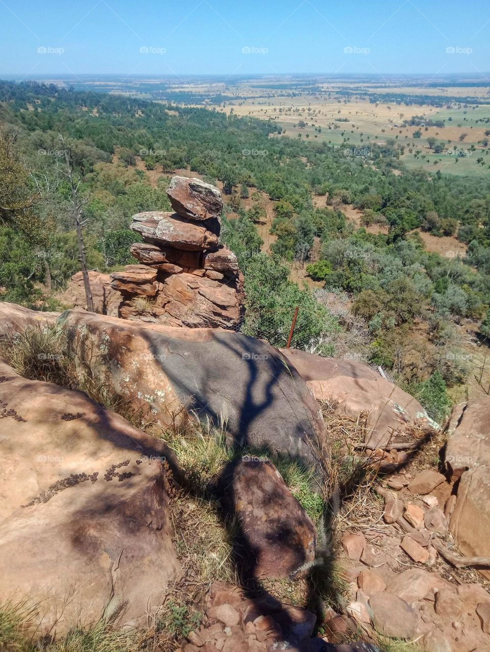 favorite place for a long walk look over a rural property from a high vantage point photograph taken at Tooraweenah New South Wales Australia
