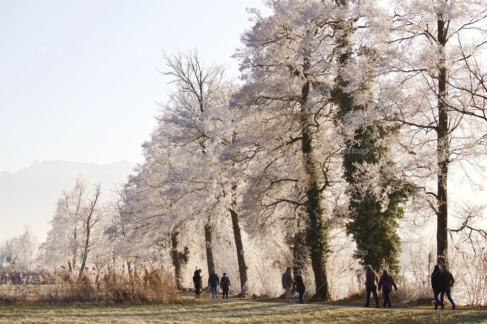 People walking in park during winter