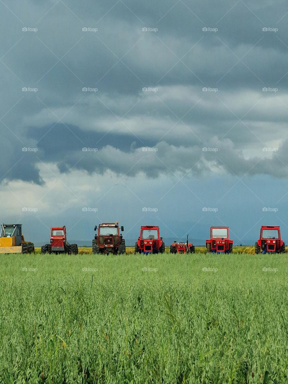 tractors in line