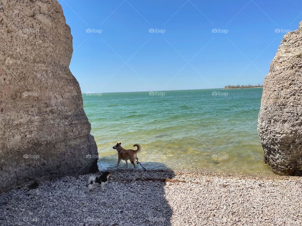 Enjoying the beach 