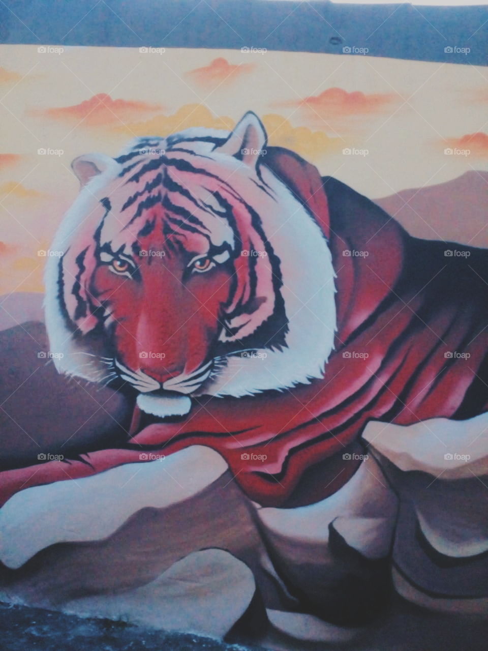 arte tigre grafite gráficos