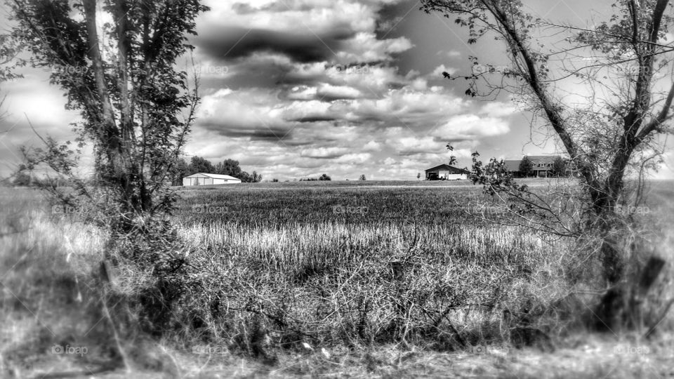 Little House on the Prairie 