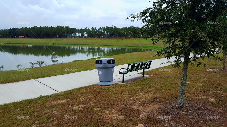 BENCH BY THE LAKE IN THE PARK