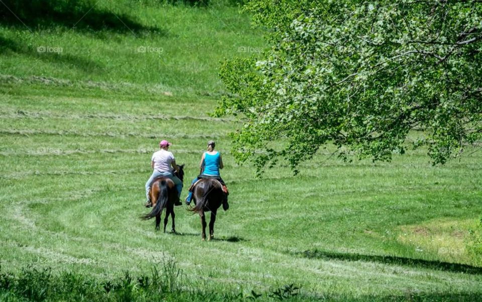 Horseback Riding, Trail Rding