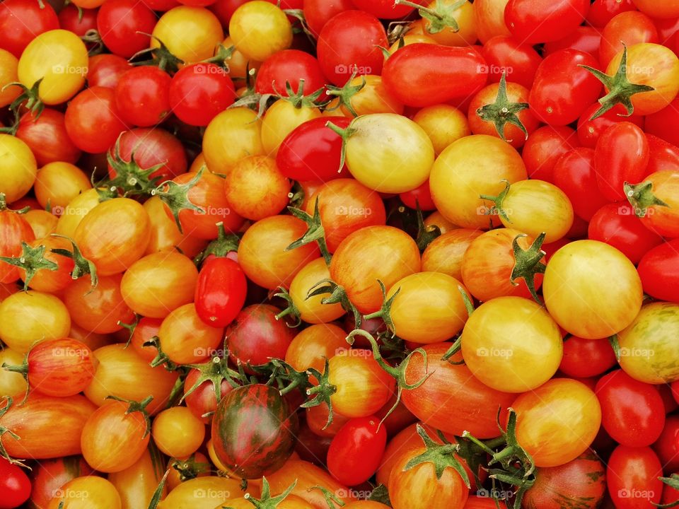 Ripe Tomatoes. Colorful Assortment Of Fresh Organic Tomatoes
