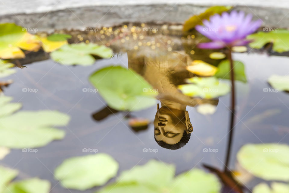 Reflection of Buddha in the pond