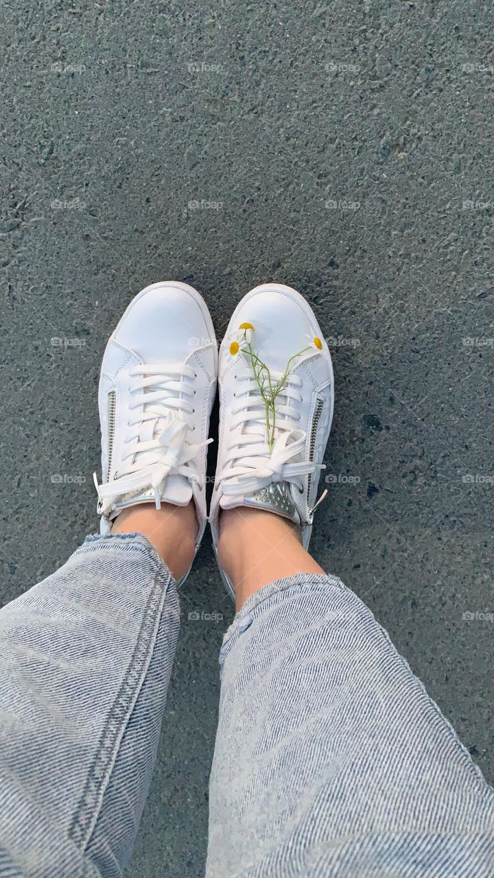 Legs in white sneakers in the frame, summer shoes. Chamomile flower in a shoe