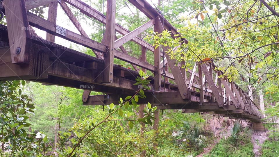 Nature Trail Bridge