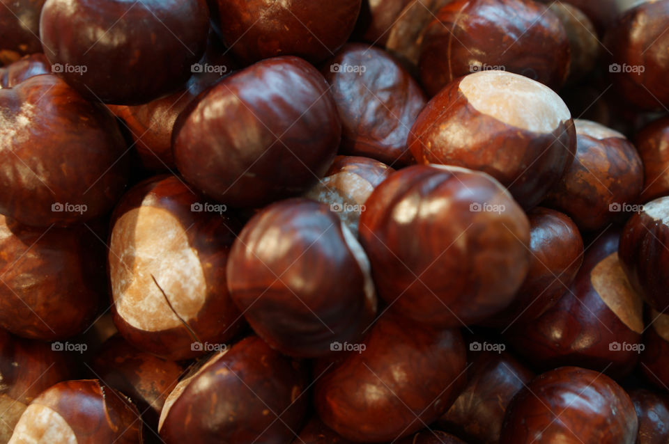 italy macro autumn brown by lexlebeur