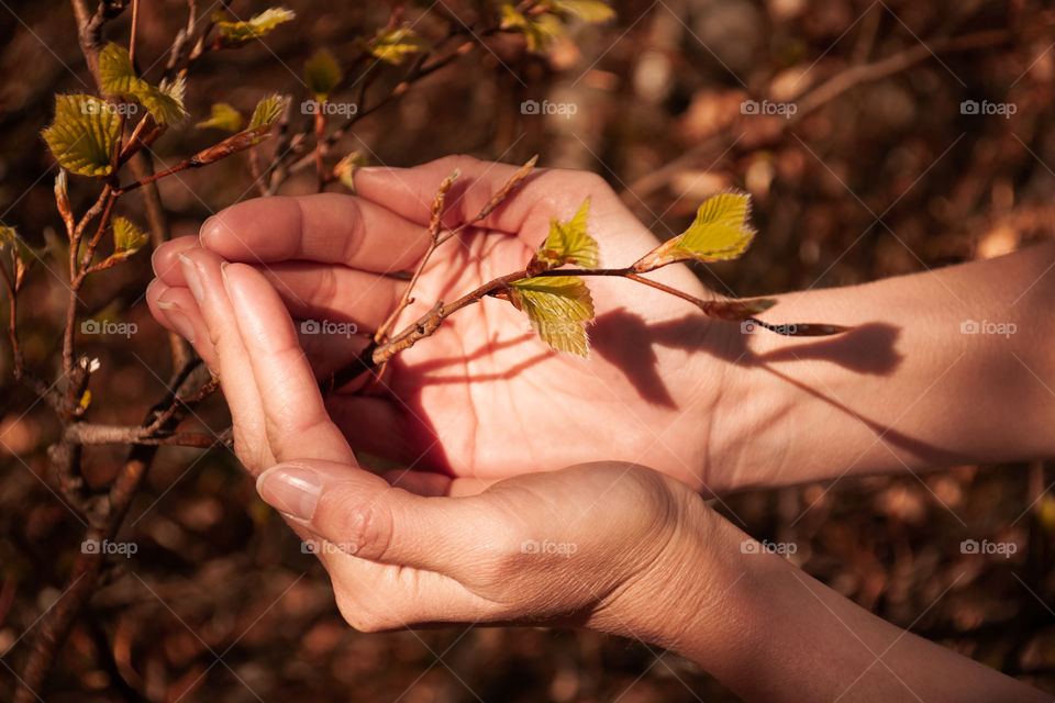 Girl holding a tree branch