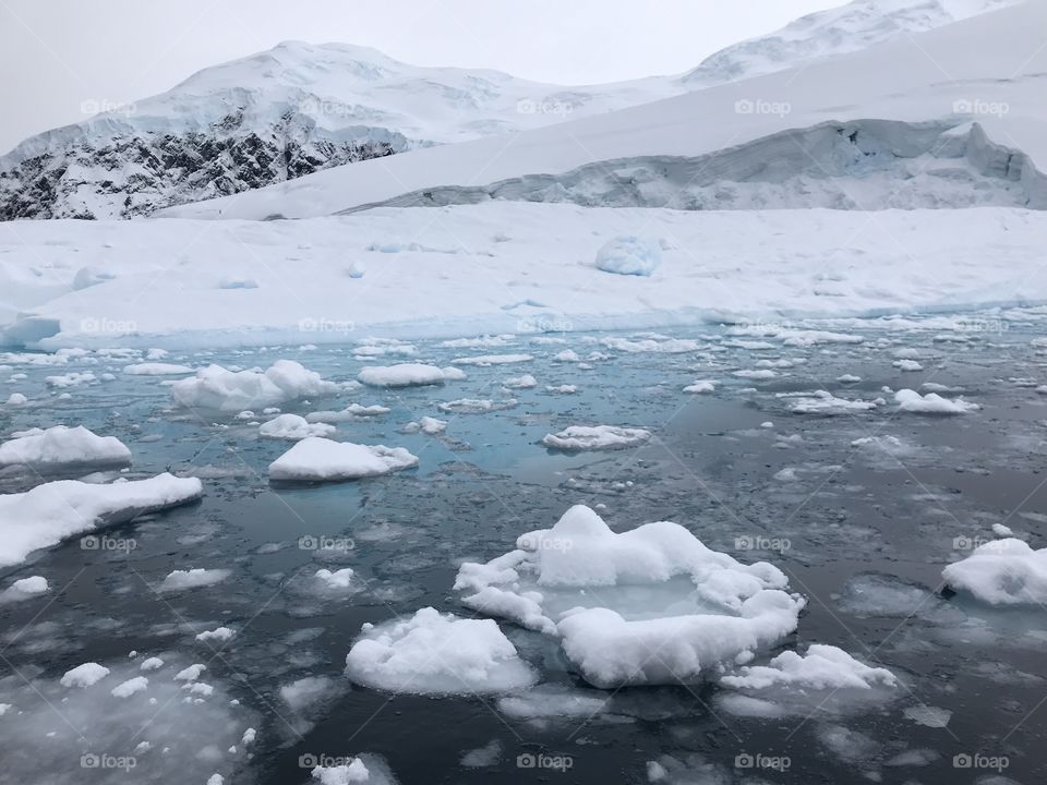 Antarctica 