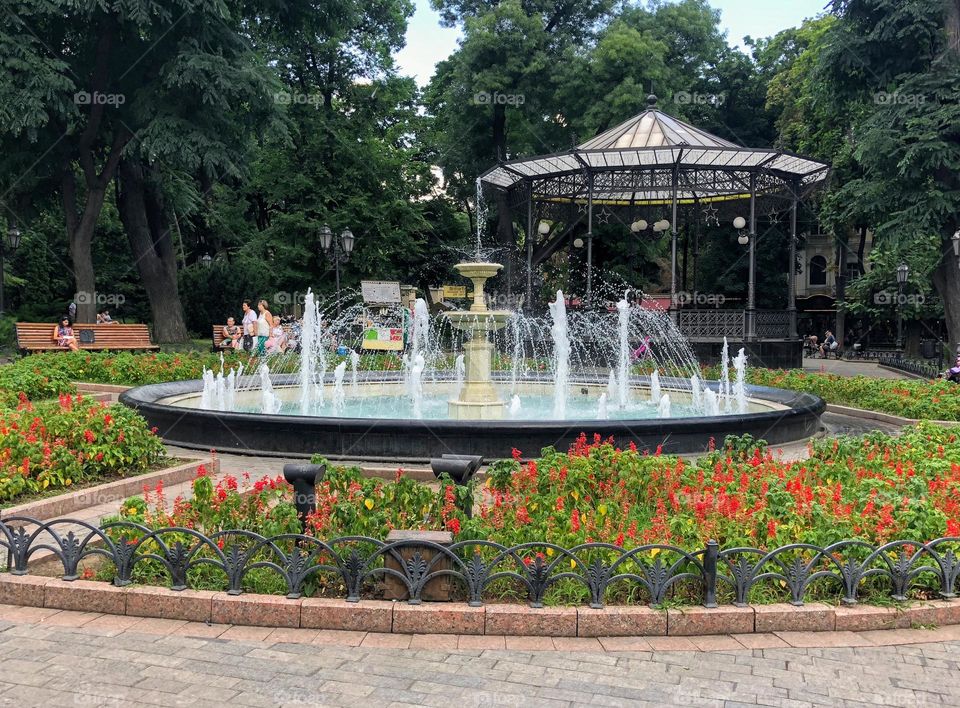 Fountain with the blooming flowers around in the city public park 