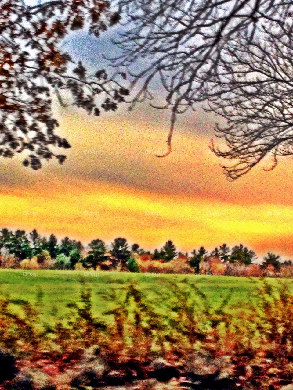 Autumn in New England