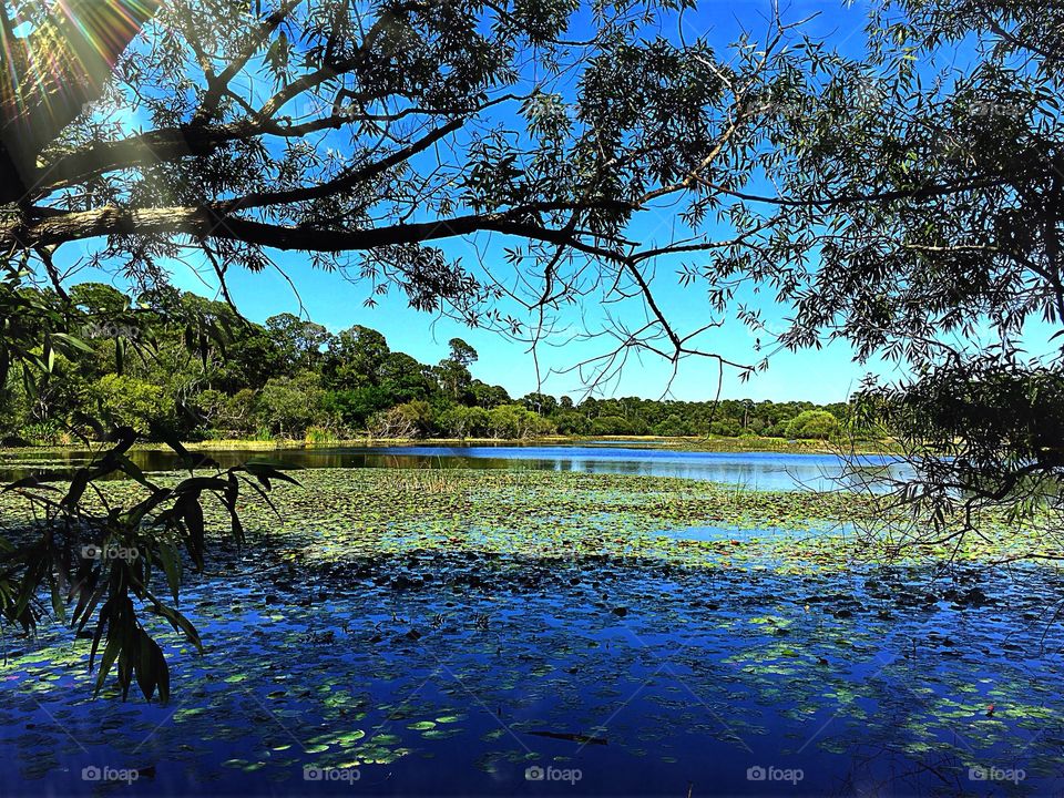 Lakeside view