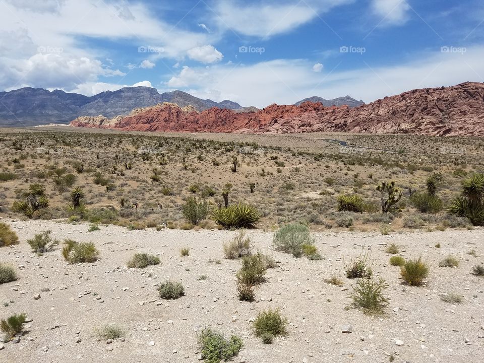 red rocks