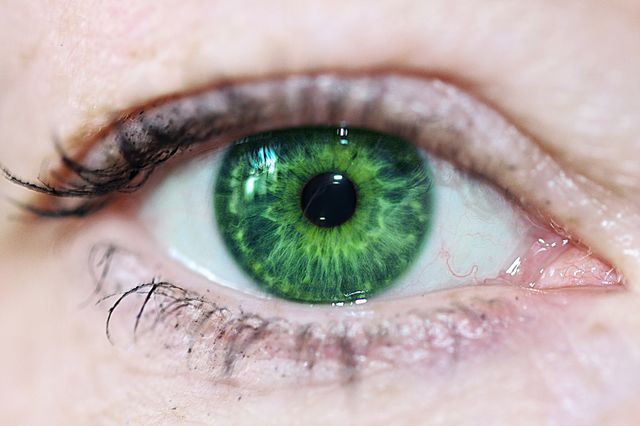 Close-up of green eye person