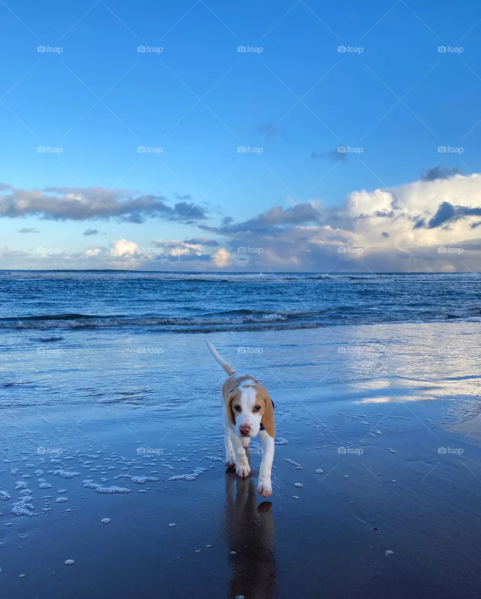 Ocean meet Ocean