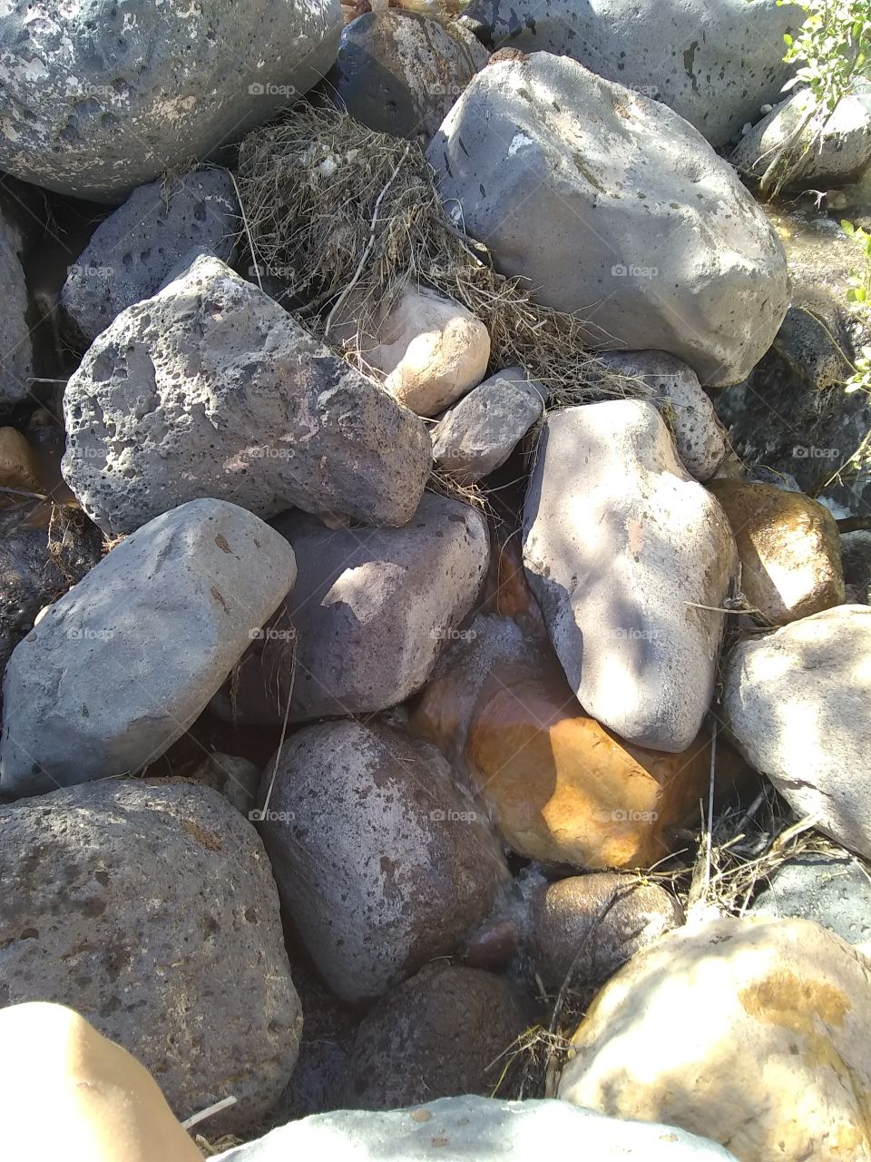rocks