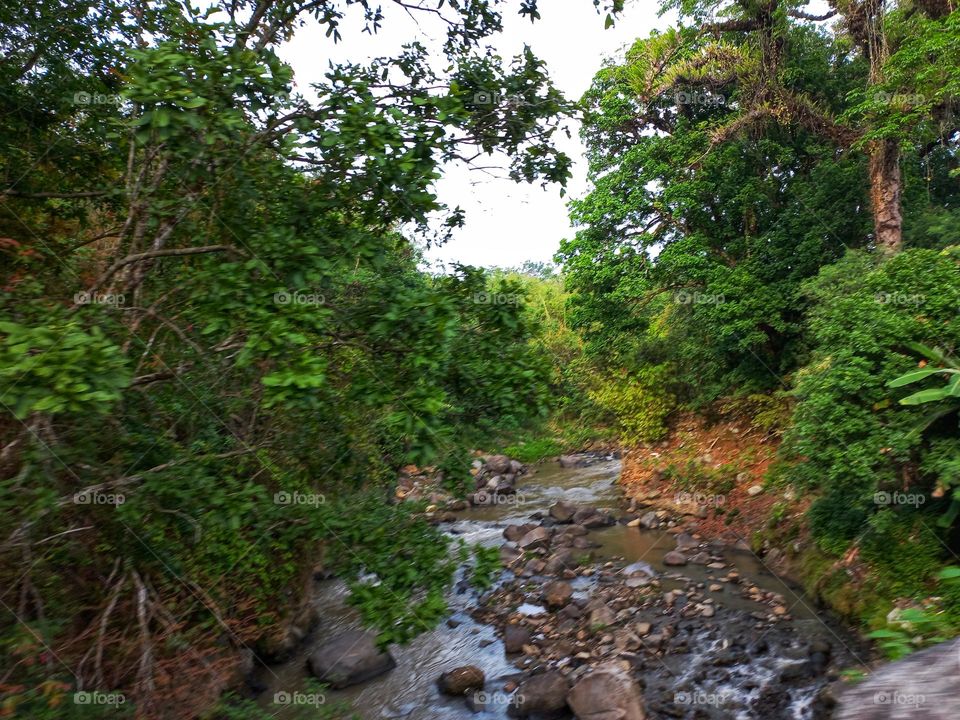 High and low road decorated with trees