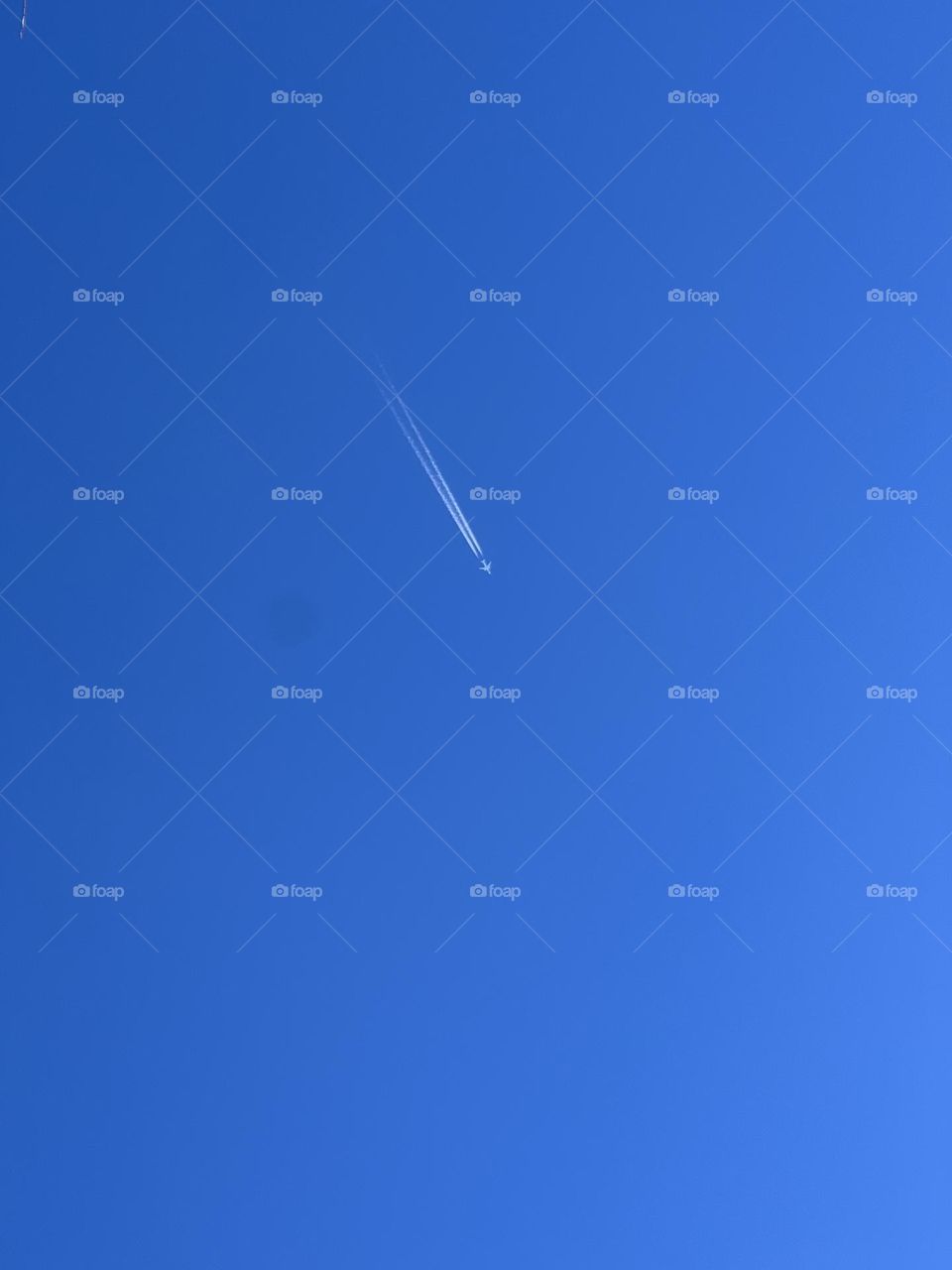 Flight in the blue sky