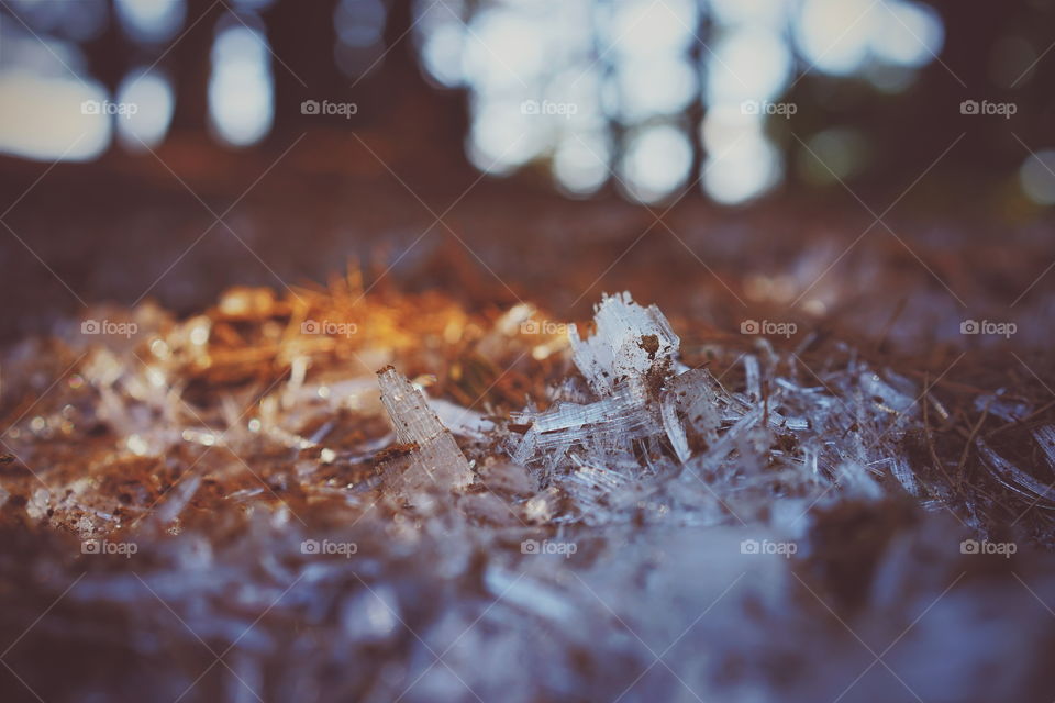 Ice under the neddles. Those icy footprints