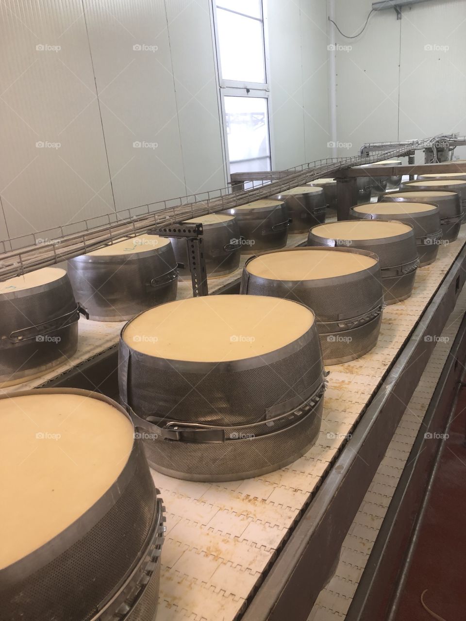 Parmesan in the factory