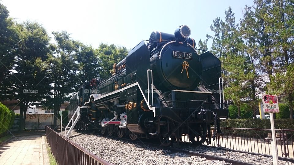 Old locomotive train in park