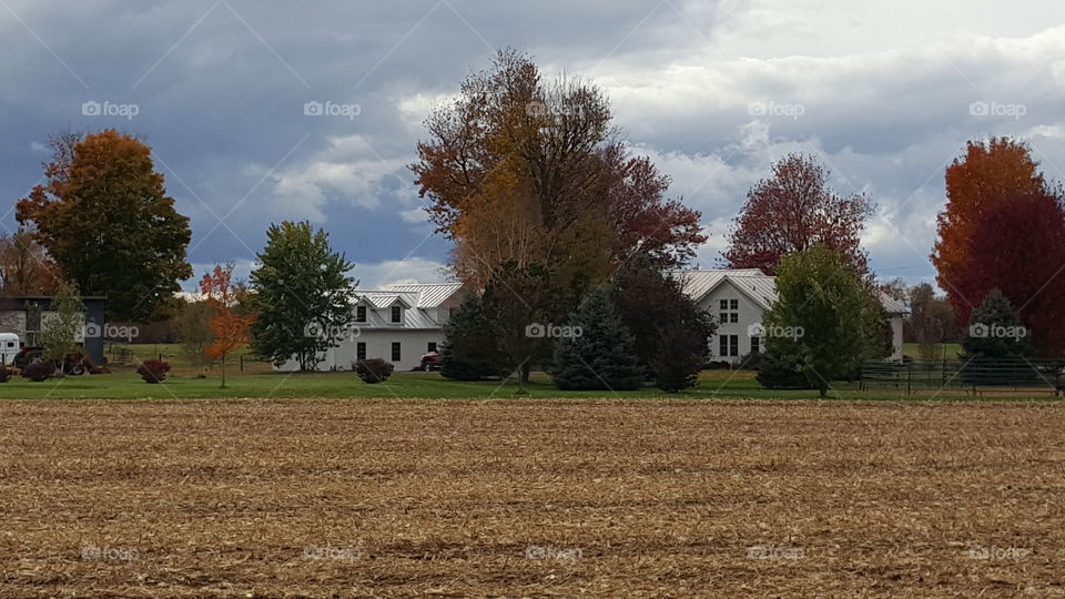 country landscape with farmhouse