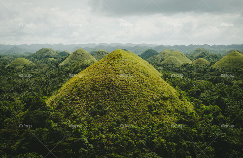 Chocolate Hills, a geological formation that it's covered in green grass which turns brown during the dry season, hence the name