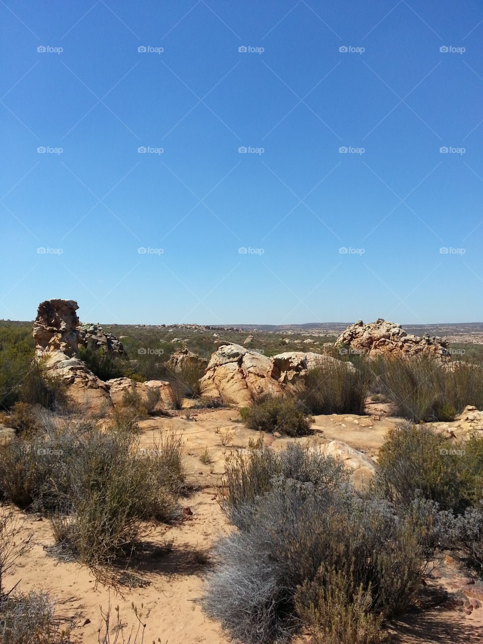 Piles of stone with fynbos, Cederberg