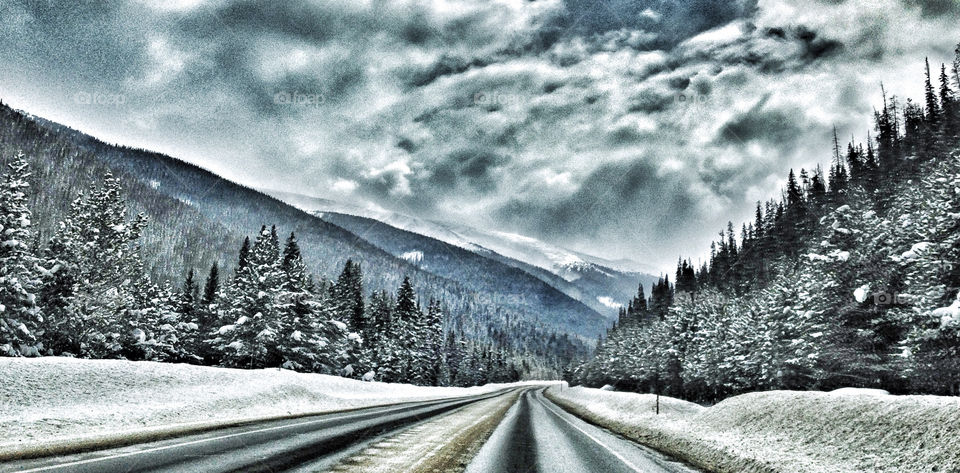 The road to winter park