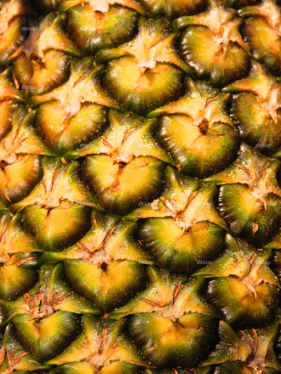 Close-up of a pineapple