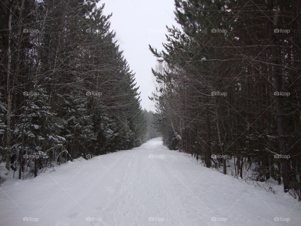 winter road northern Ontario