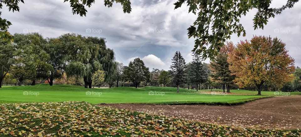 Autumn landscape.