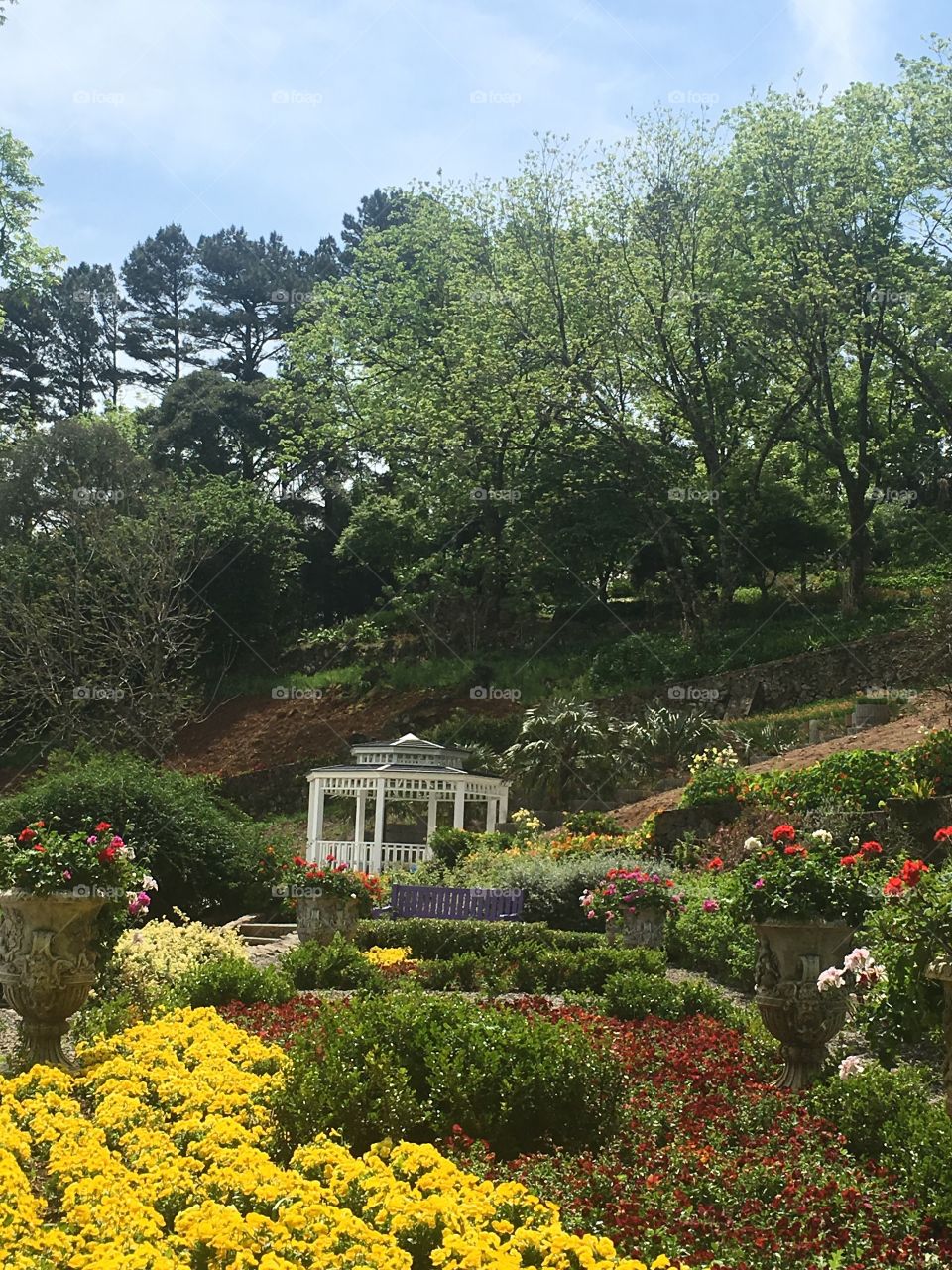 Lê Jardim Parque da Lavanda 