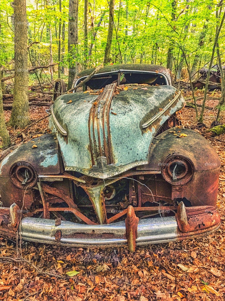 Abandoned Packard...