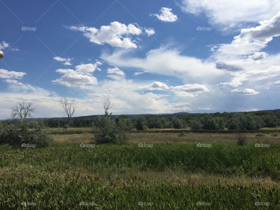 Landscape, No Person, Sky, Agriculture, Nature