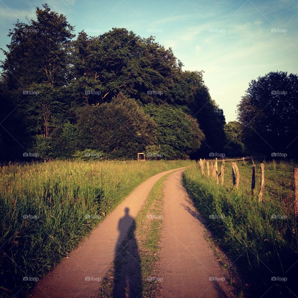 sweden nature summer shadow by harrisuvi