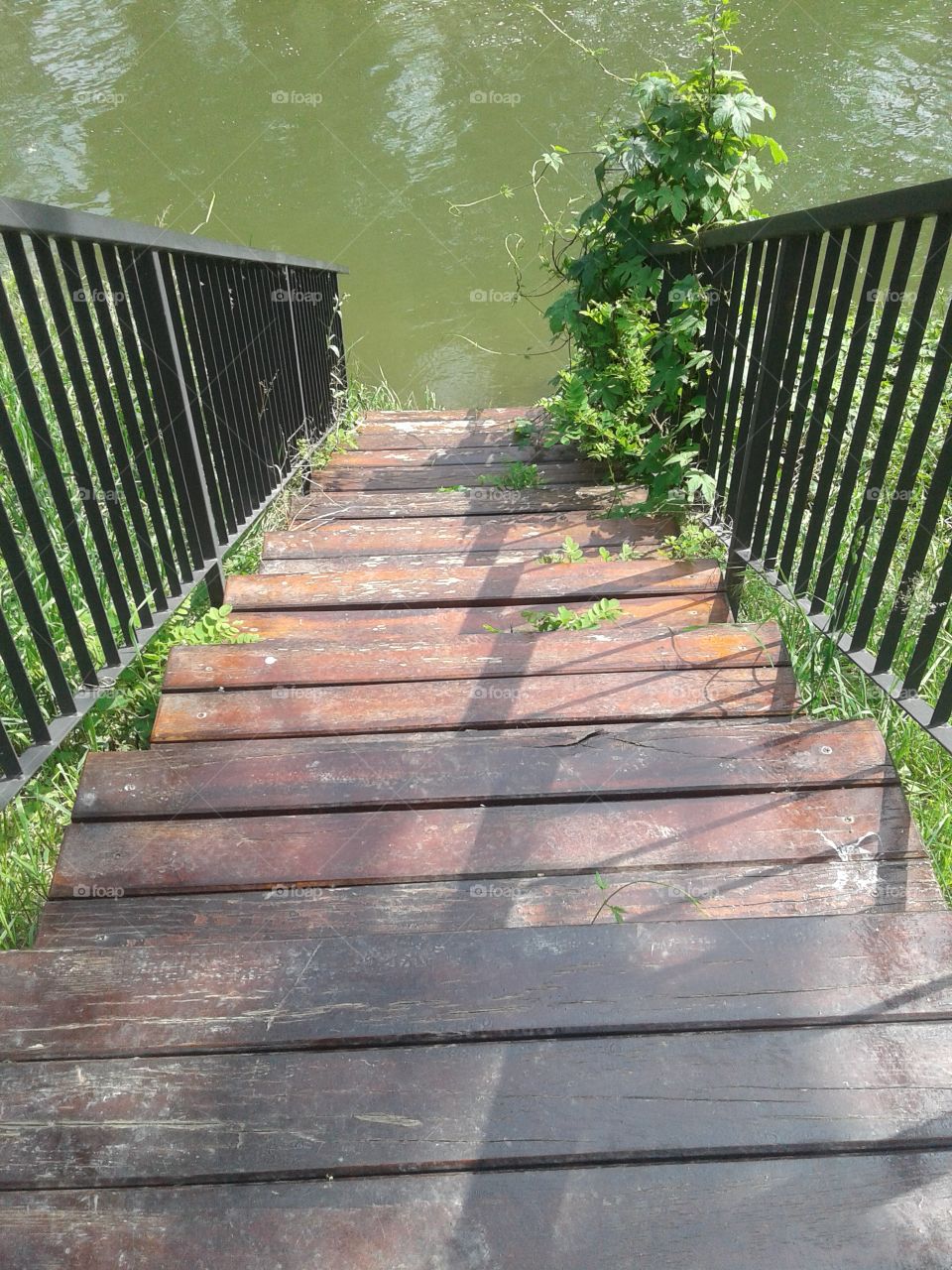 Stairs on the river shore