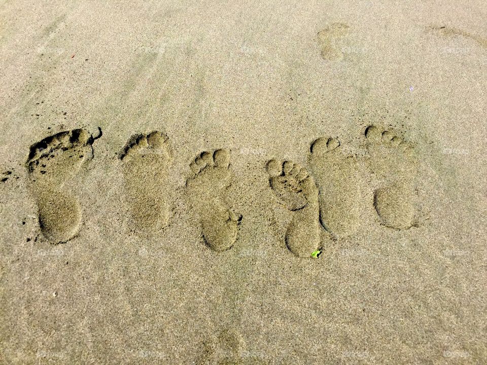 Footprints In The Sand. Family of footprints in the sand