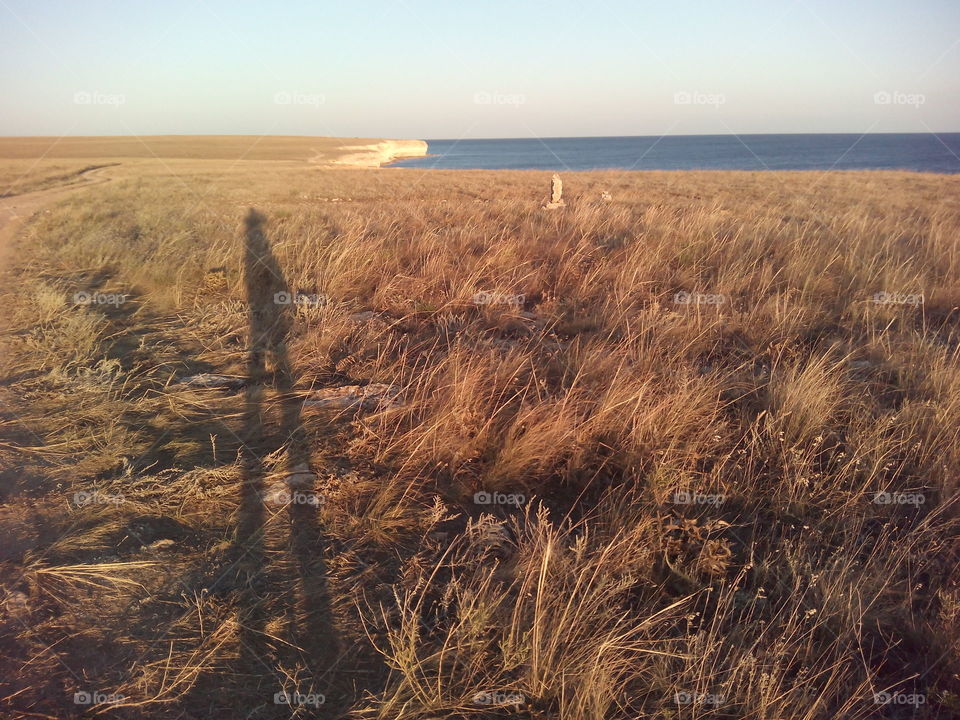 No Person, Landscape, Sunset, Cropland, Wheat