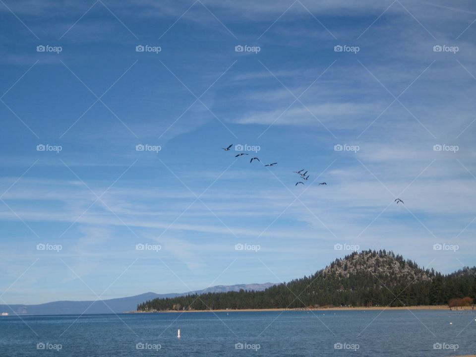 Birds flying on a lake. Hills on the lake shore.