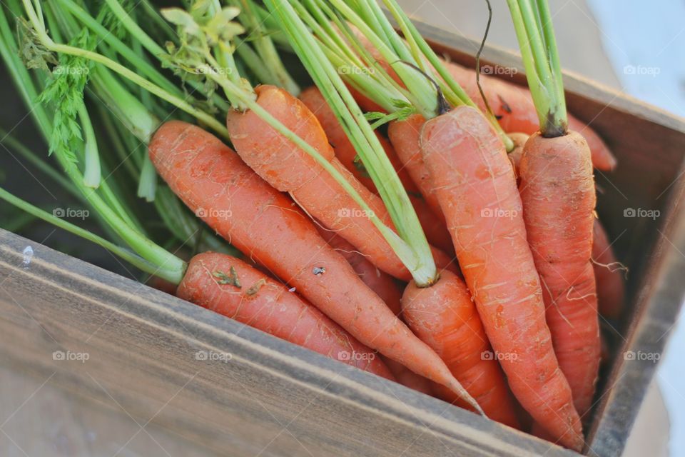 High angle view of carrots